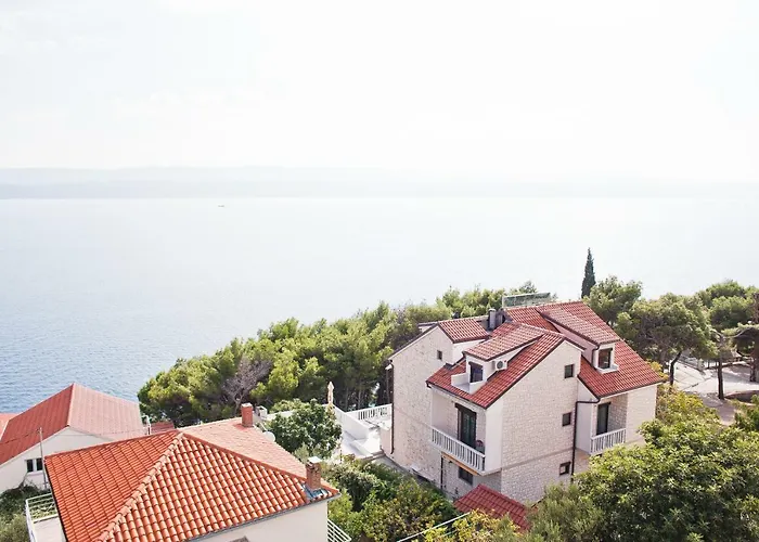 Daire Raljevic *